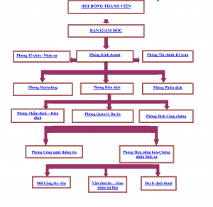 sơ đồ tổ chức panda