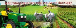 Dịch thuật tiếng anh chuyên ngành nông nghiệp