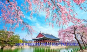 Dịch web tiếng Hàn