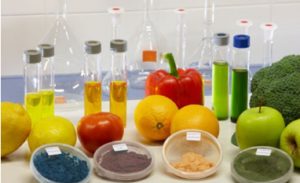 dịch tiếng pháp ngành thực phẩm